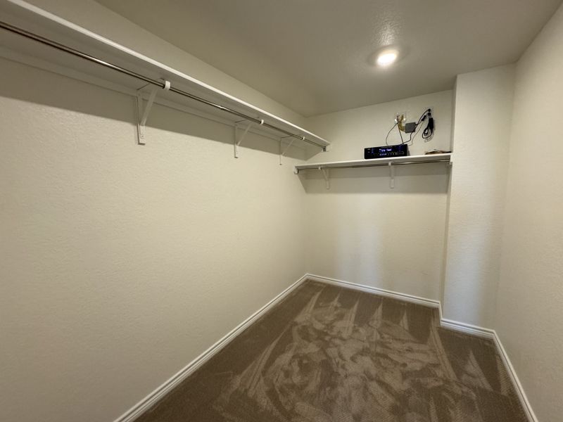 A spacious walk-in closet featuring carpet flooring, sturdy shelving, and clean white walls. A spacious walk-in closet featuring carpet flooring, sturdy shelving, and clean white walls.