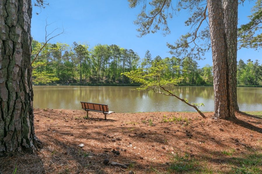 Natural surroundings and green spaces near Crystal Lake at Croasdaile Farm in Durham, NC (Image 4). Natural surroundings and green spaces near Crystal Lake at Croasdaile Farm in Durham, NC (Image 4).