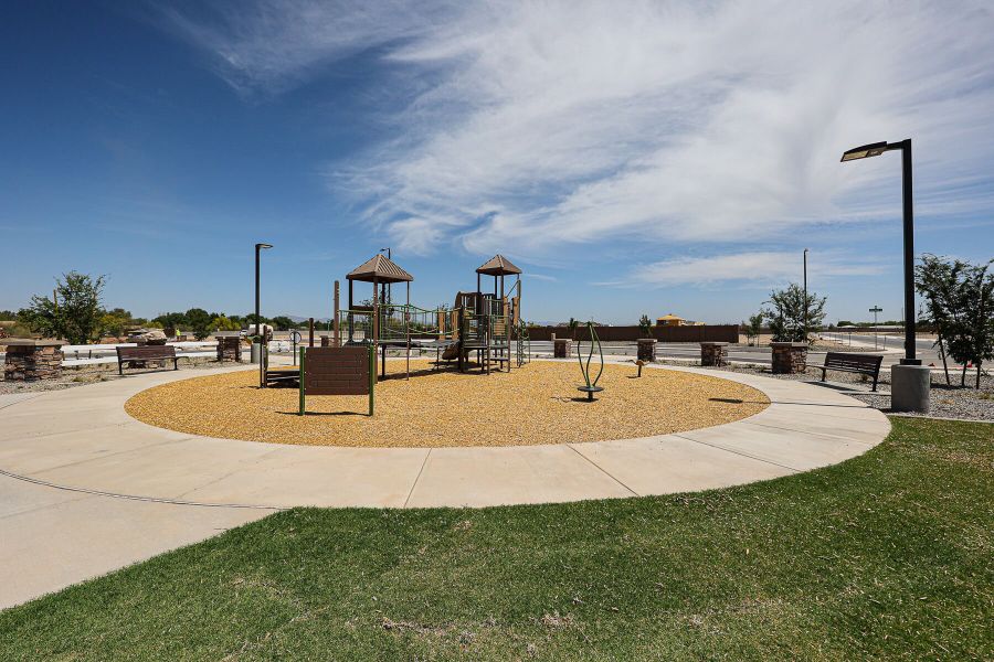 Community amenity available to residents of Landmarke in San Tan Valley (Image 3).
