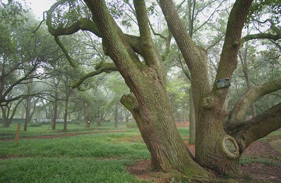 Front exterior of a home in the The Abbey at Trolley Run Station community, located in Aiken, SC (Image 21).