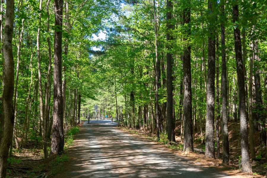 Natural surroundings and green spaces near The Townes at Willow Park in Cary, NC (Image 8). Natural surroundings and green spaces near The Townes at Willow Park in Cary, NC (Image 8).