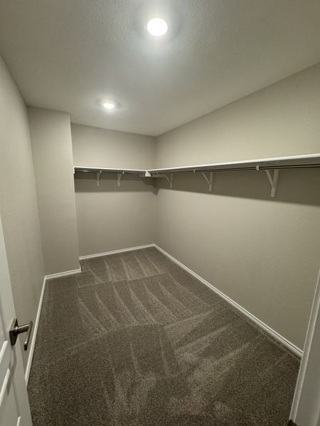 A spacious walk-in closet with plush carpet, bright lighting, and ample shelving for organized storage. A spacious walk-in closet with plush carpet, bright lighting, and ample shelving for organized storage.