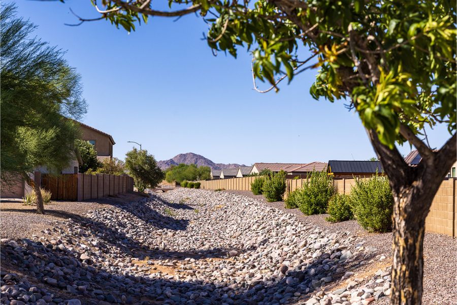 Natural surroundings and green spaces near McCartney Center in Casa Grande, AZ (Image 10).