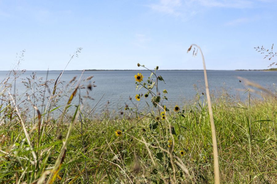 Natural surroundings and green spaces near Lake Breeze in Lavon, TX (Image 22).