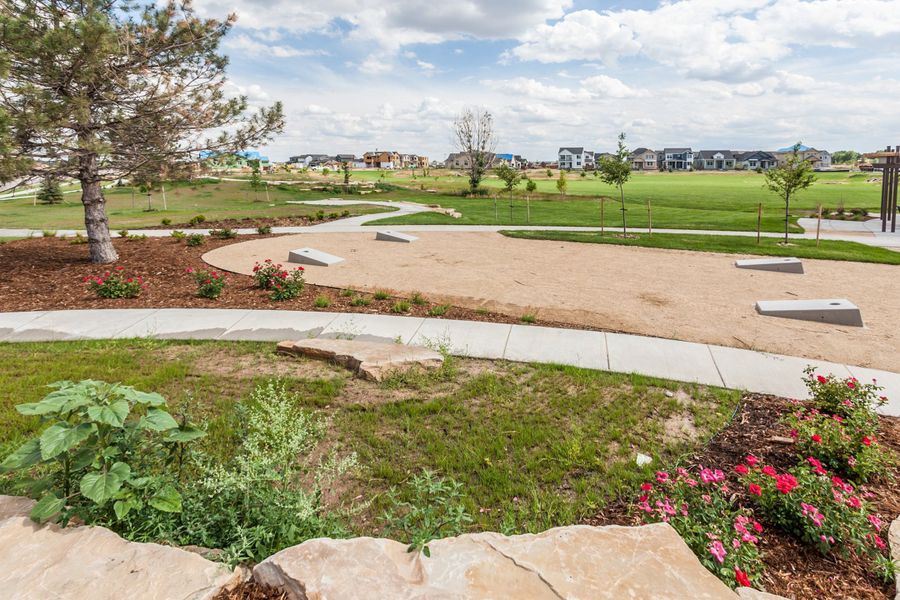 Community amenity available to residents of Trailside in Timnath (Image 14).