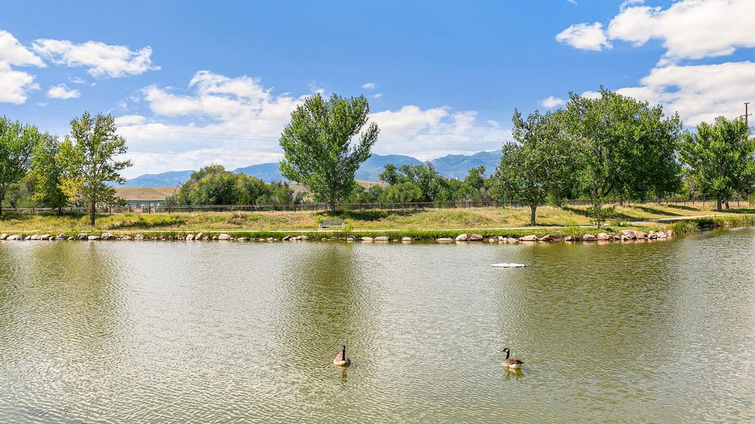 Image 10 of the Aspen Ranch community in Fountain, CO.