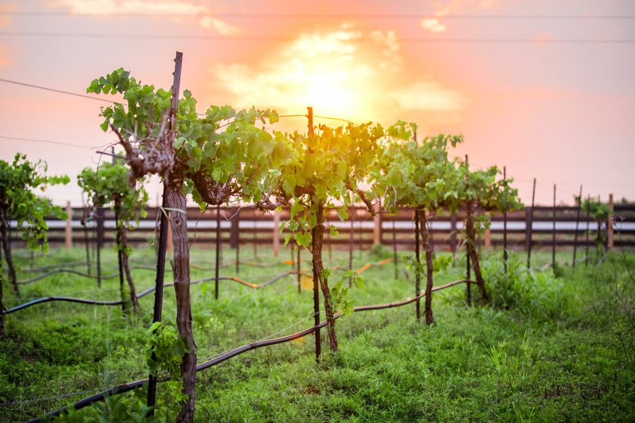 Natural surroundings and green spaces near Harvest Green 75′ in Richmond, TX (Image 23).