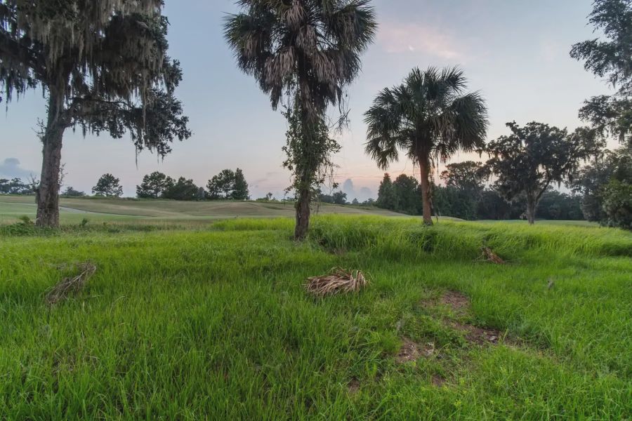 Southern Hills Plantation,34601