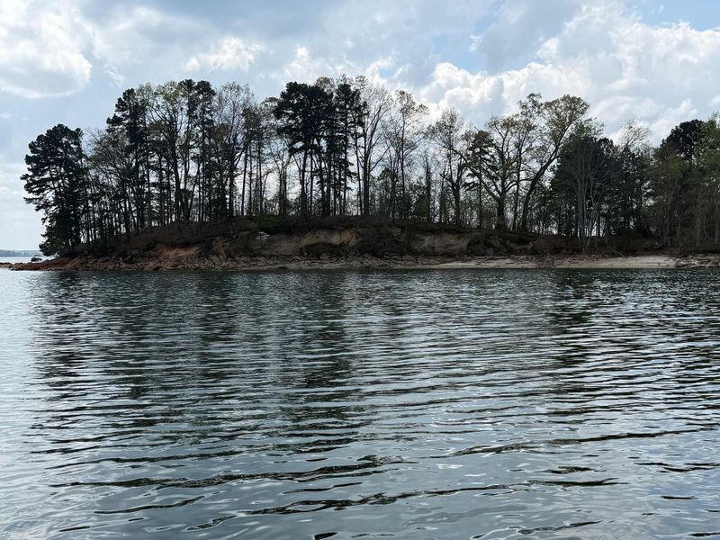 Natural surroundings and green spaces near Lanier Landing in Gainesville, GA (Image 13).
