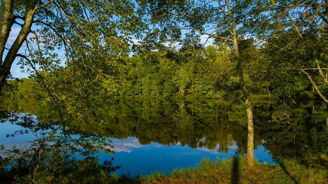 Natural surroundings and green spaces near Cresswind at Spring Haven in Newnan, GA (Image 15).