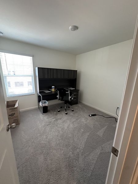 Cozy office space with plush carpeting, a modern desk, and natural light from a large window.