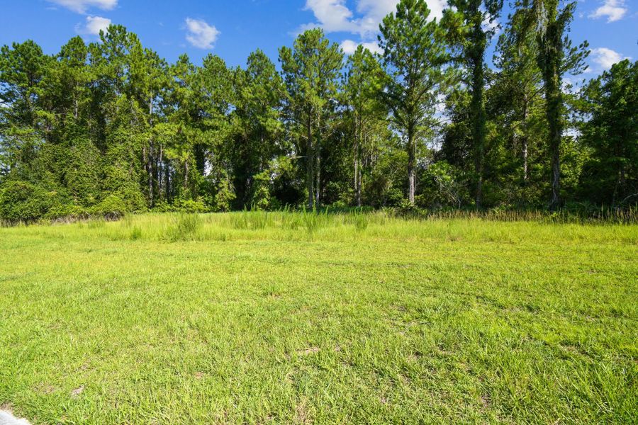 Natural surroundings and green spaces near Southern Hills Plantation in Brooksville, FL (Image 36).