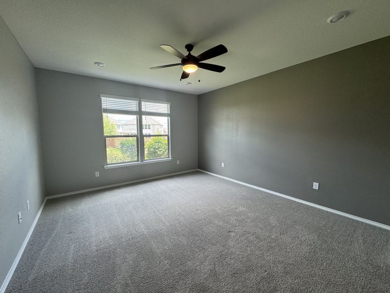 A spacious bedroom with gray walls, soft carpet, large window, and modern ceiling fan. Bright and inviting atmosphere.