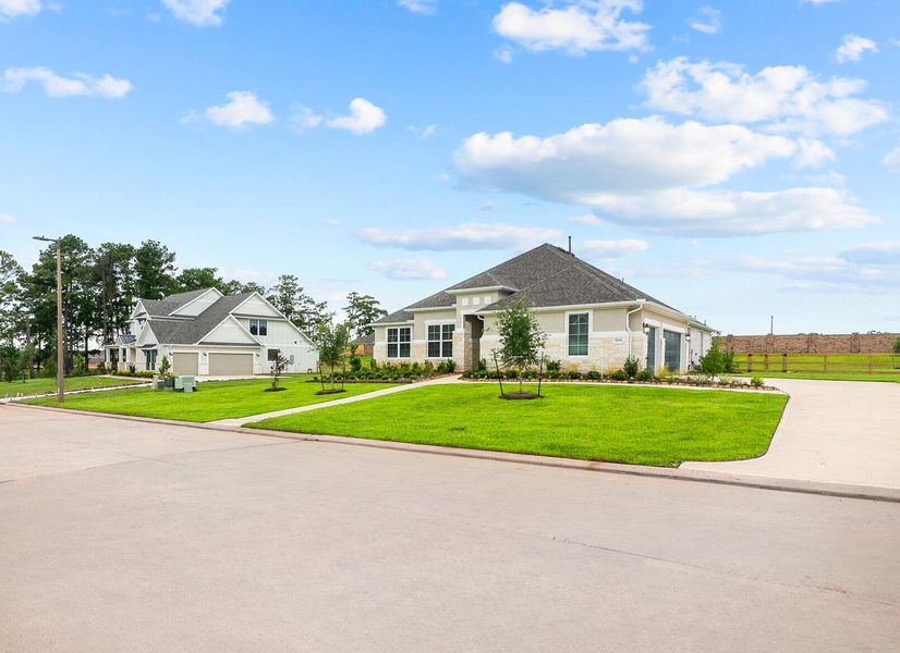 Streetscape Streetscape