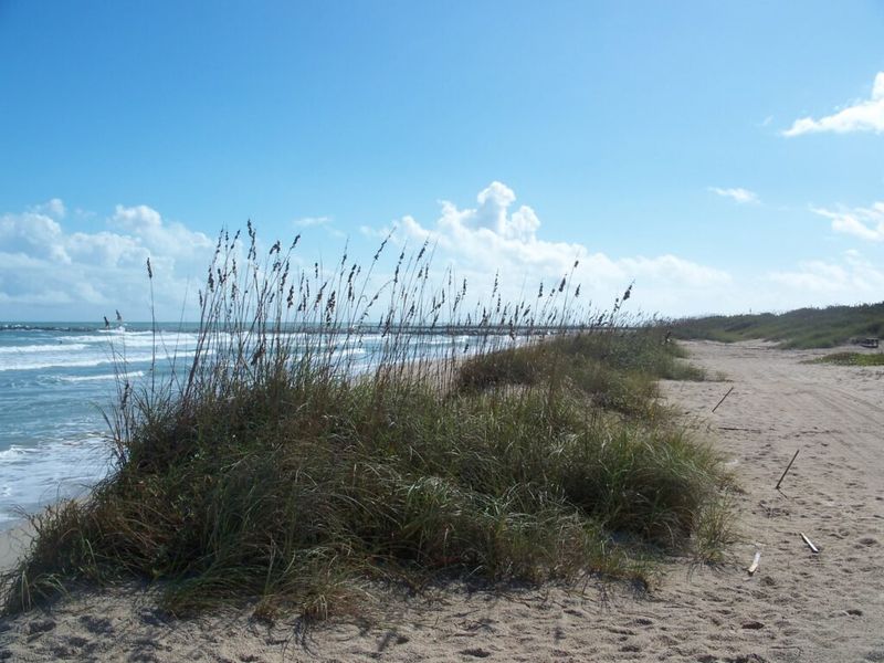 Natural surroundings and green spaces near Pineapple Grove in Fort Pierce, FL (Image 52). Natural surroundings and green spaces near Pineapple Grove in Fort Pierce, FL (Image 52).