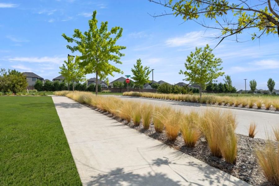 Natural surroundings and green spaces near Chelsea Commons in Allen, TX (Image 70). Natural surroundings and green spaces near Chelsea Commons in Allen, TX (Image 70).