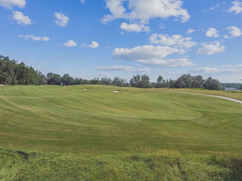 Southern Hills Plantation,34601