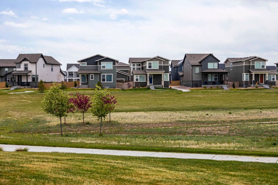Front exterior of a home in the Trailside community, located in Timnath, CO (Image 4).