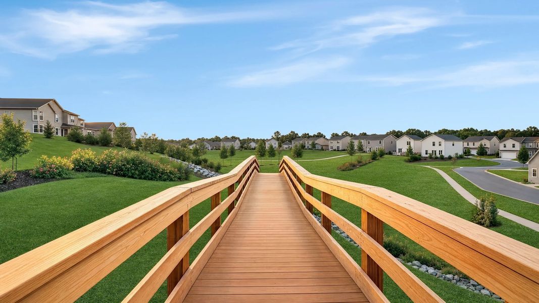 Close-up of boardwalk path
