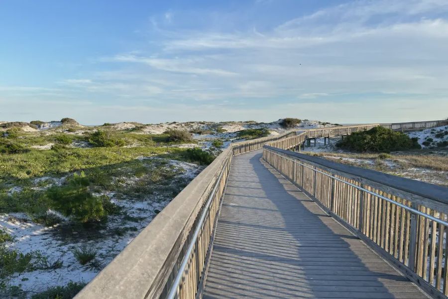 Natural surroundings and green spaces near Brizo in Santa Rosa Beach, FL (Image 39).