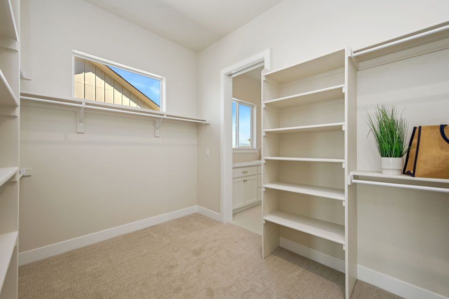 The Aurora Highlands,80019