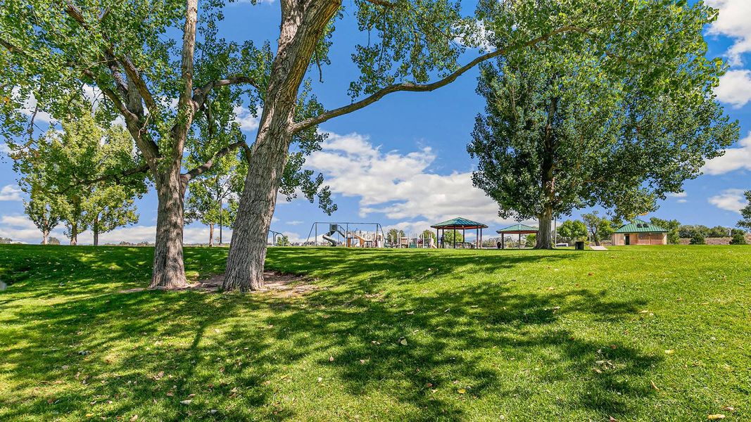 Image 12 of the Aspen Ranch community in Fountain, CO.