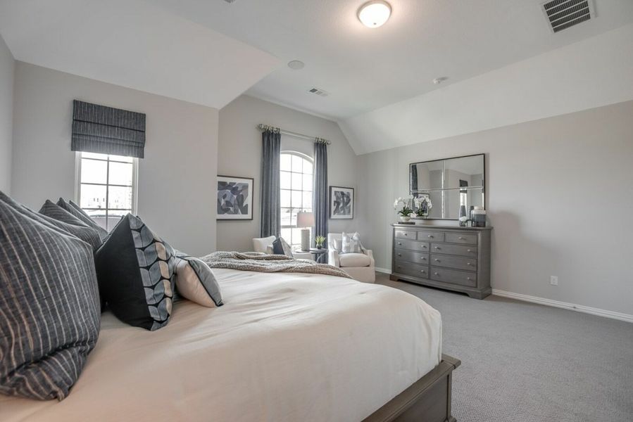 Image 14 of the Prairie View - 55s community in Frisco, TX.