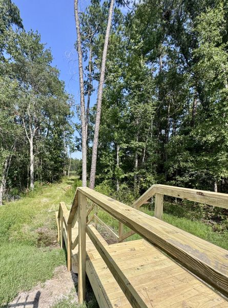 A scenic wooden walkway through lush greenery in Jennings Farm by Dream Finders Homes (Middleburg, FL).