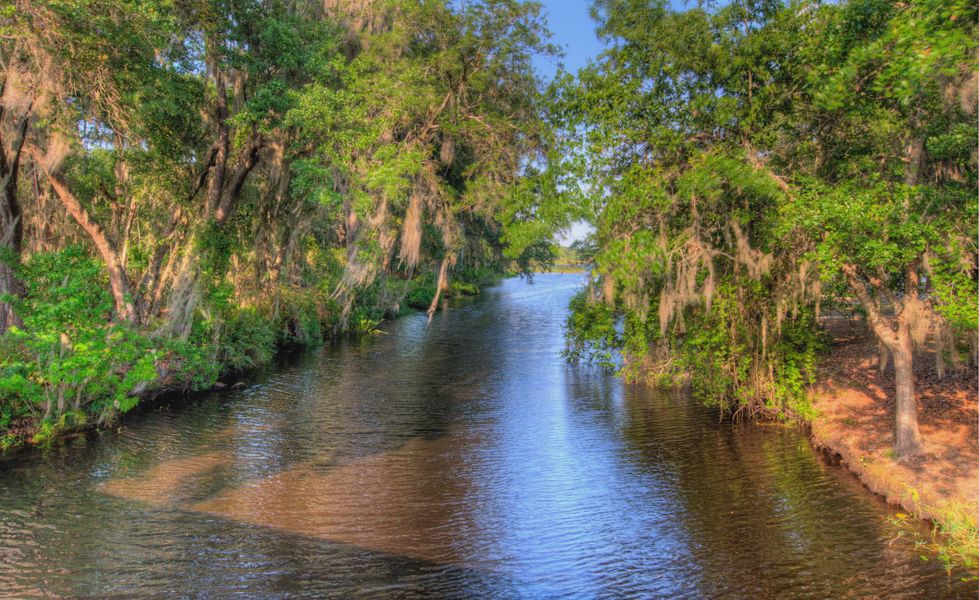 Natural surroundings and green spaces near Live Oak Estates in Orlando, FL (Image 8). Natural surroundings and green spaces near Live Oak Estates in Orlando, FL (Image 8).