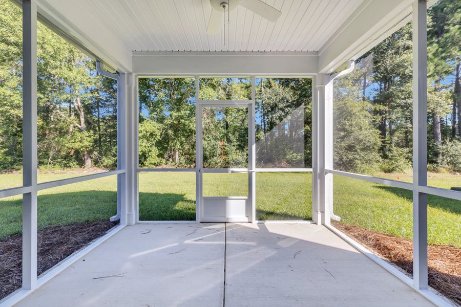 Back Patio Back Patio