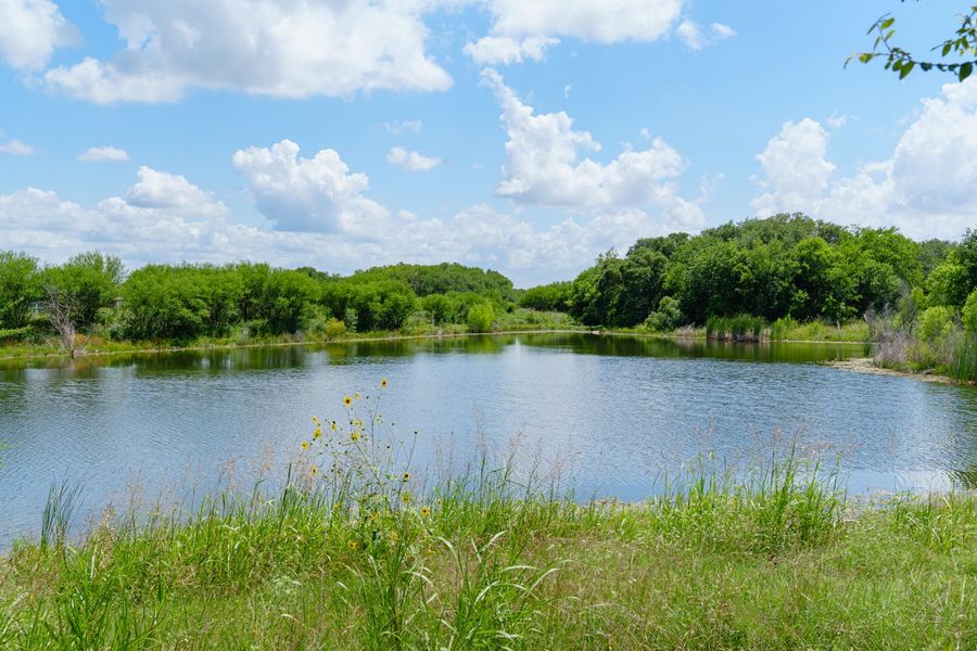 Natural surroundings and green spaces near The Crossvine in Schertz, TX (Image 10).