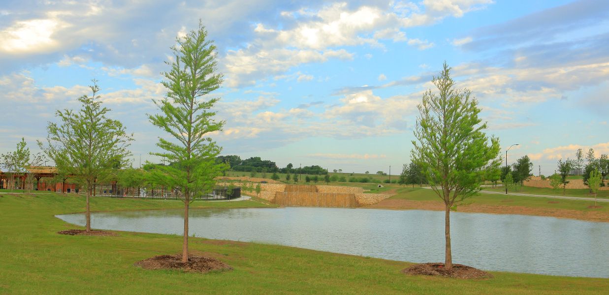 Morningstar Community Photo