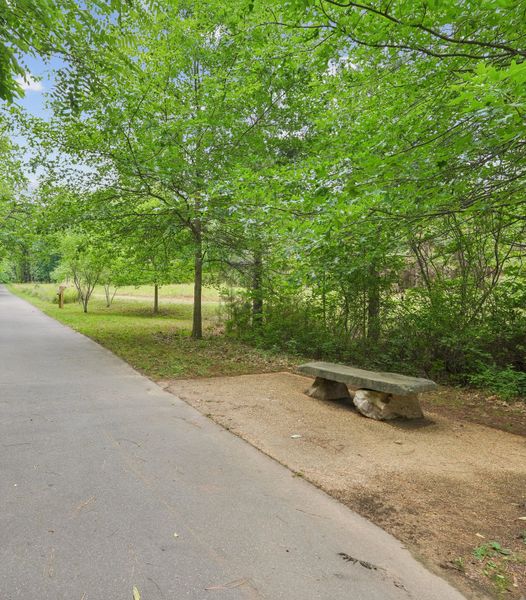 Natural surroundings and green spaces near Summit At Homestead in Chapel Hill, NC (Image 8).