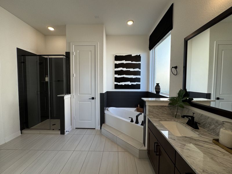 A chic bathroom with a spacious shower, elegant tub, and marble countertop, accented by modern decor.