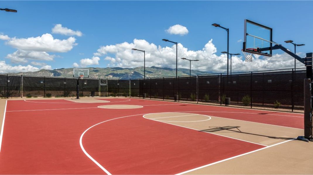 Basketball Court