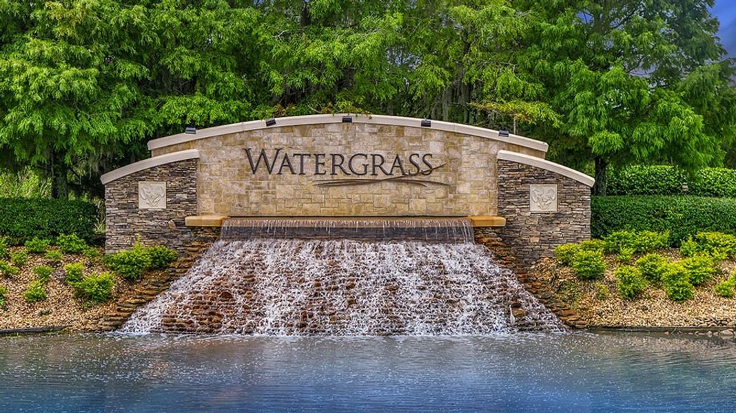 Image 86 of the WaterGrass community in Wesley Chapel, FL.