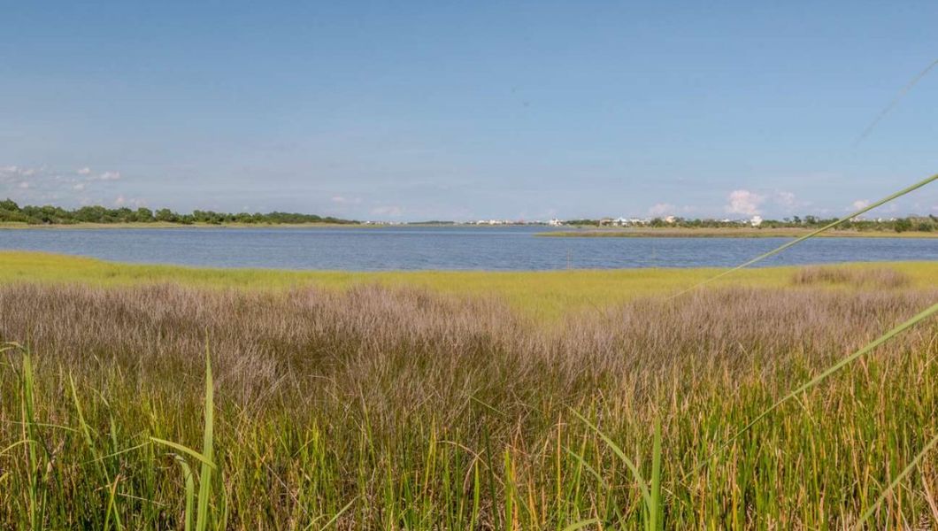 Natural surroundings and green spaces near The Preserve at Tidewater in Sneads Ferry, NC (Image 16).