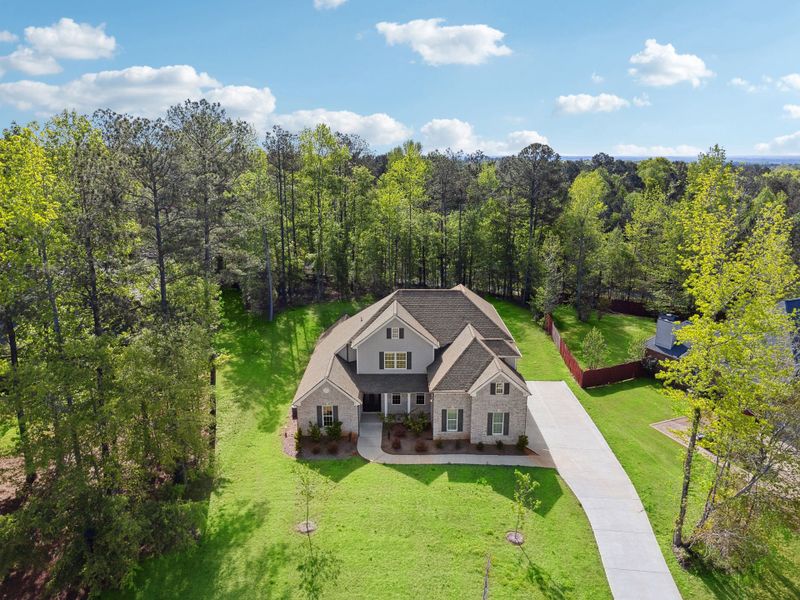 Hadi Builders - Whitestone