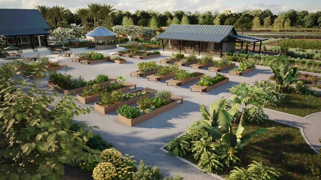 Community garden