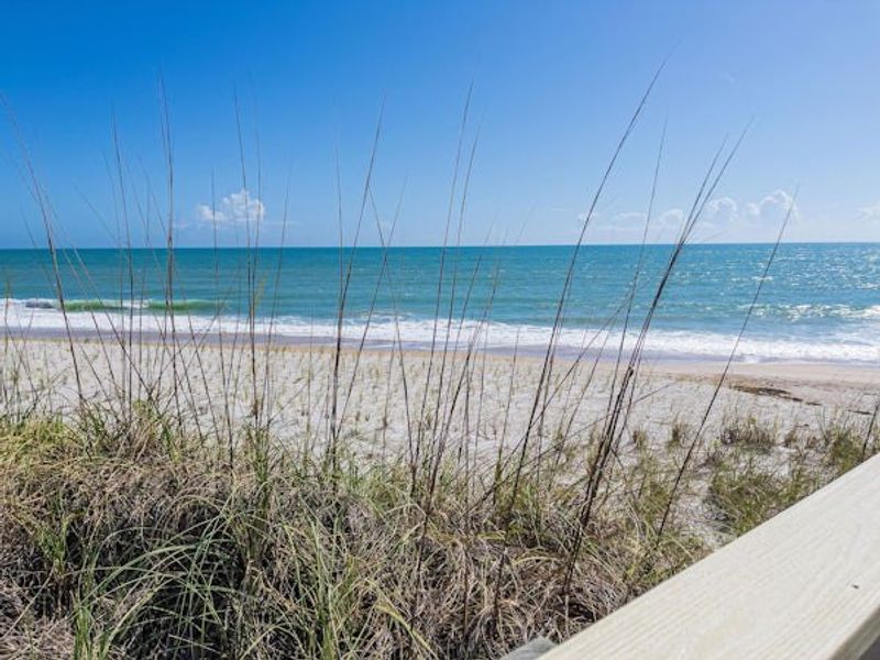 Natural surroundings and green spaces near Seaglass in Vero Beach, FL (Image 100).