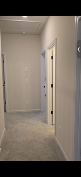 A bright hallway with soft carpeting and modern white doors, offering a cozy and inviting atmosphere.