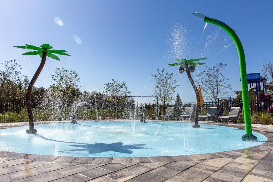 Image 14 of the Avalon Park Wesley Chapel community in Wesley Chapel, FL.