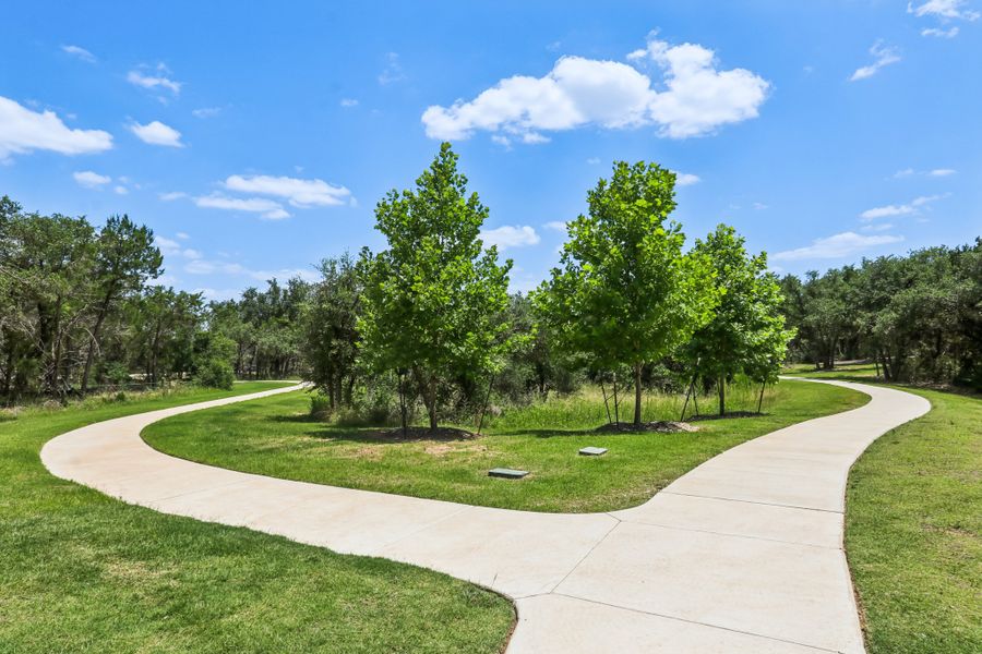 A path with grass and trees on the side. A path with grass and trees on the side.