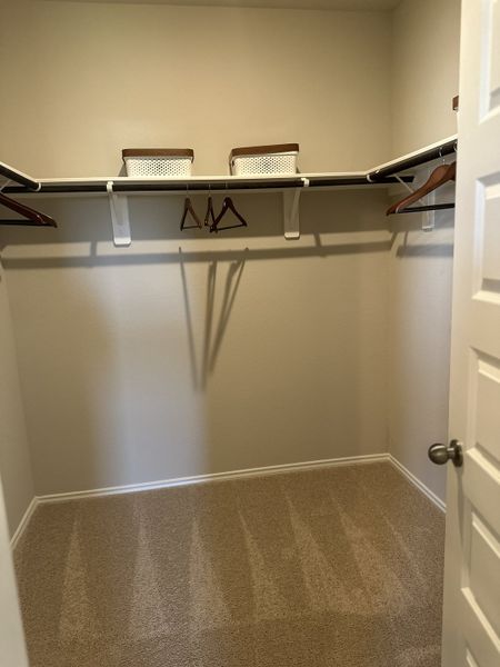 A spacious walk-in closet with beige carpeting, open shelving, and neatly organized storage baskets.
