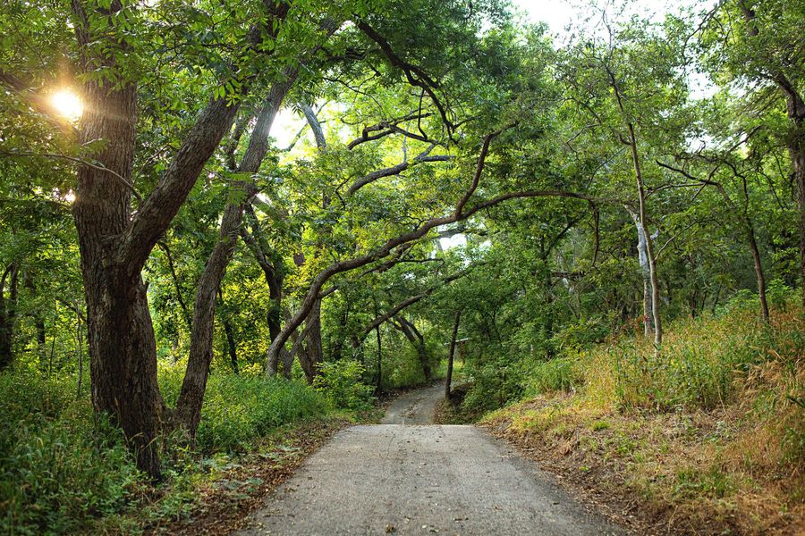 Natural surroundings and green spaces near Three Creeks in Belton, TX (Image 26).