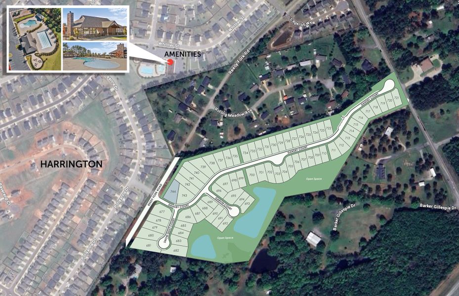 Established Community