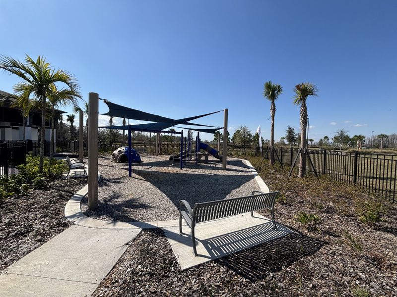 A vibrant community playground with shaded seating, surrounded by palm trees in Eden at Crossprairie by M/I Homes (St. Cloud, FL).