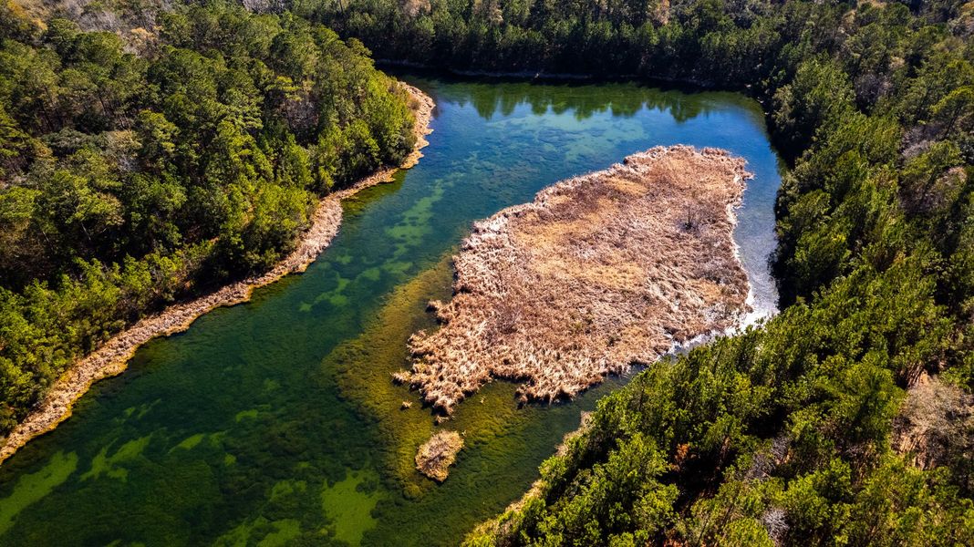 Nearby the Altamaha Heritage Preserve