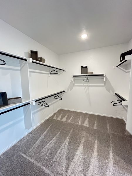 A spacious walk-in closet with plush carpet, ample shelving, and modern lighting.