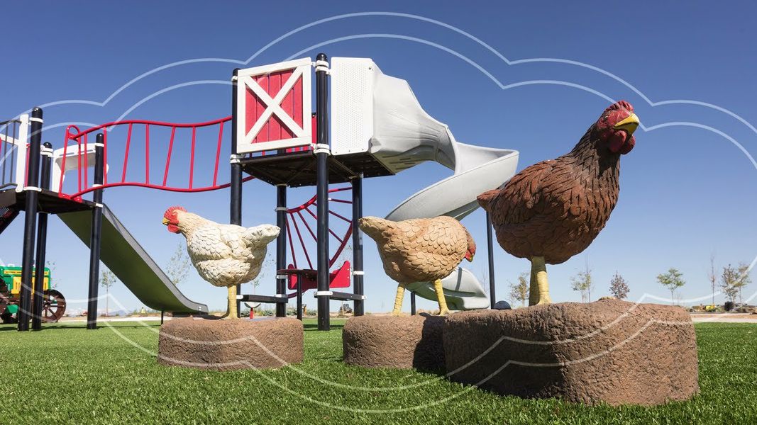 Community amenity available to residents of RainDance in Windsor (Image 20).